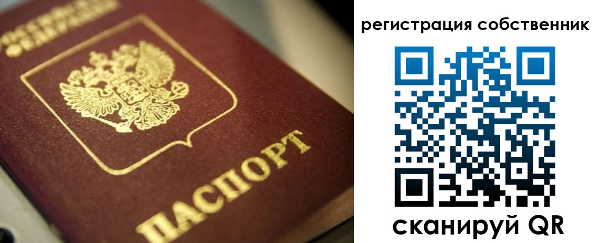 прописка в Зее